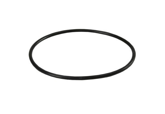 ORING-BB	Кольцо уплотнительное для корпуса BIG BLUE